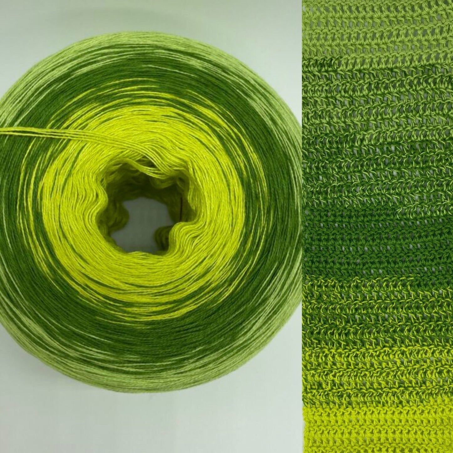 Bobbel Moos und Farn