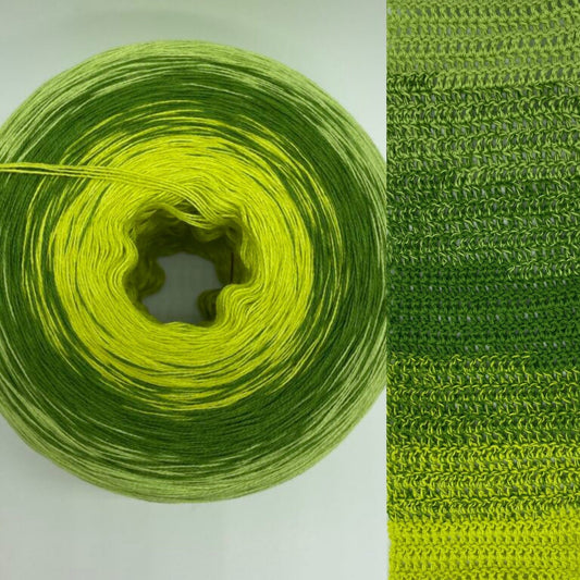 Bobbel Moos und Farn