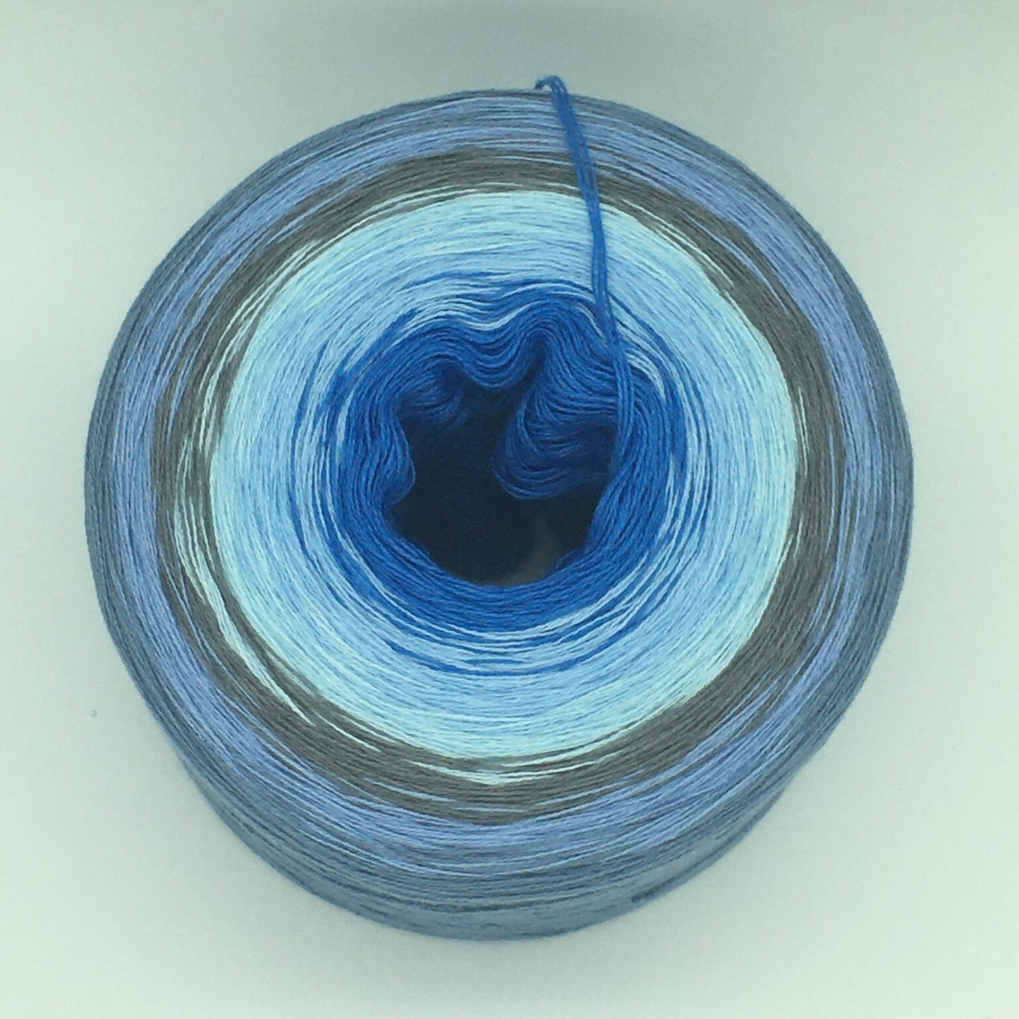 Bobbel Vergissmeinnicht