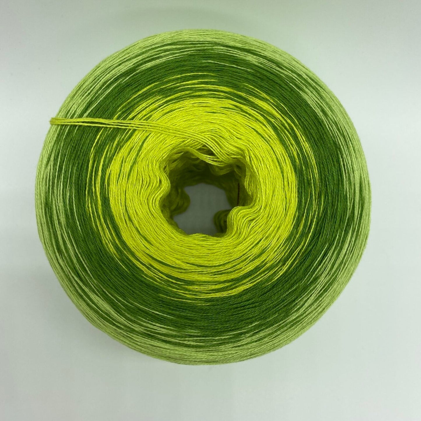 Bobbel Moos und Farn