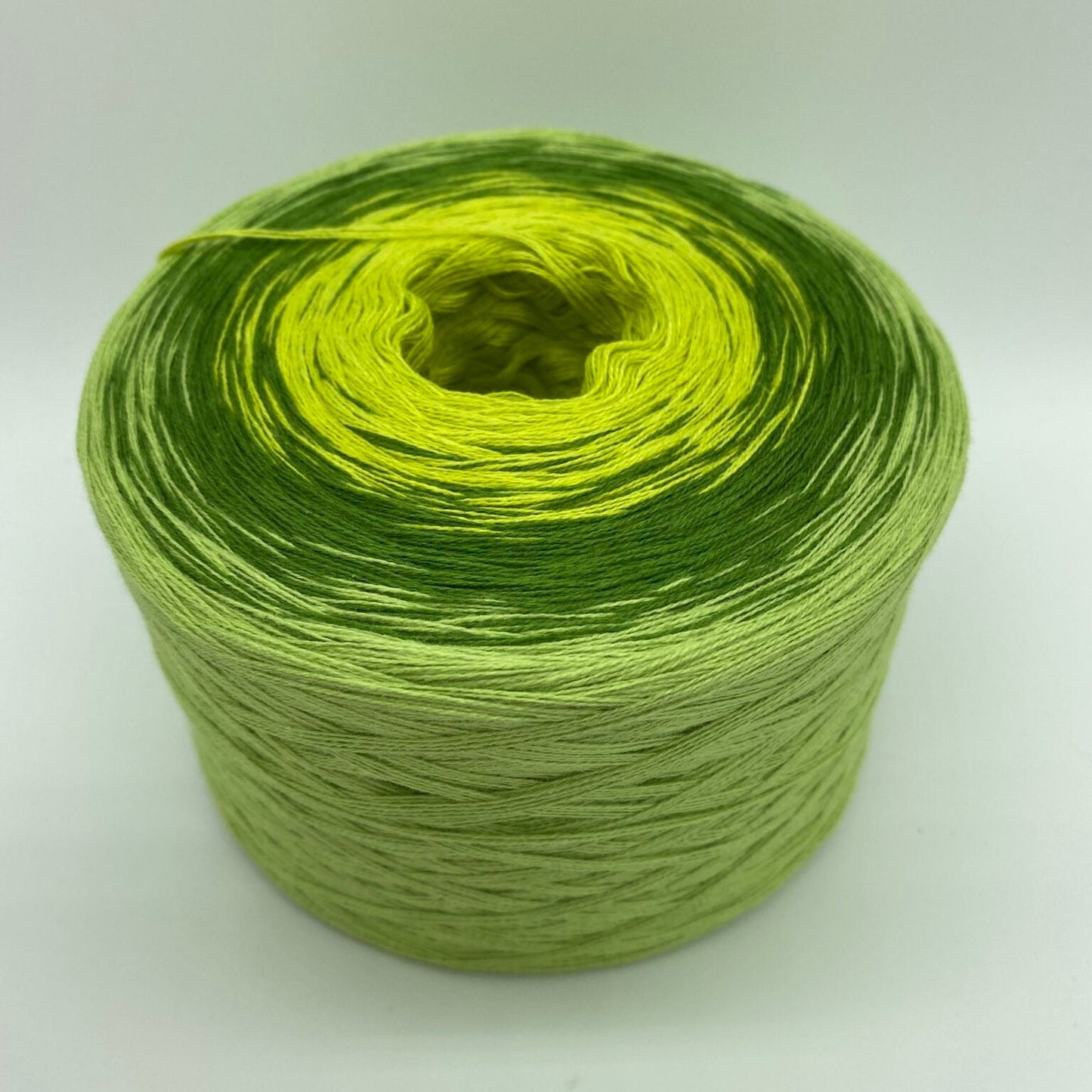 Bobbel Moos und Farn