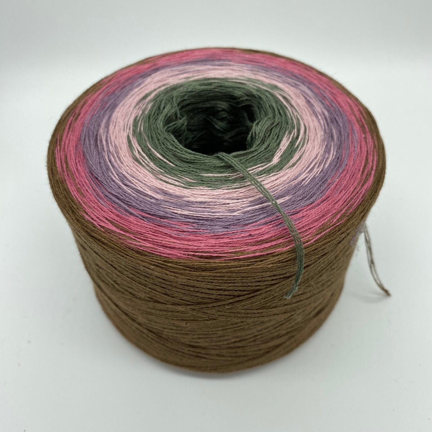 Bobbel Veilchen im Moos